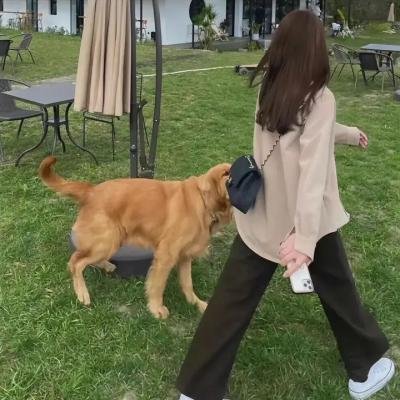 受伤的小鹿